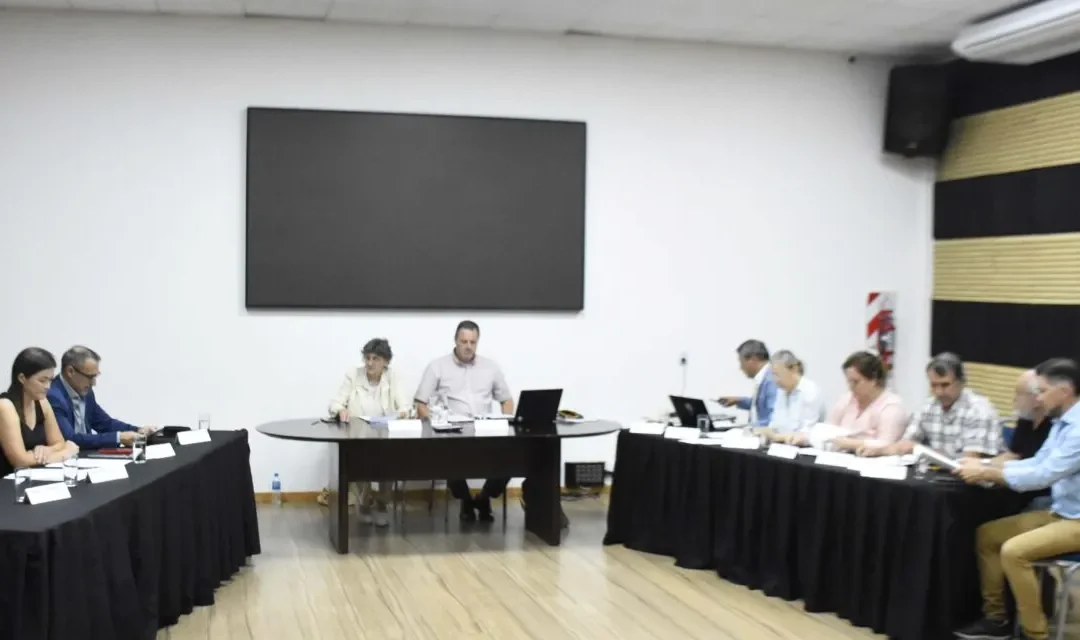 LOS TEMAS TRATADOS EN LA SESIÓN EXTRAORDINARIA DEL CONCEJO DELIBERANTE