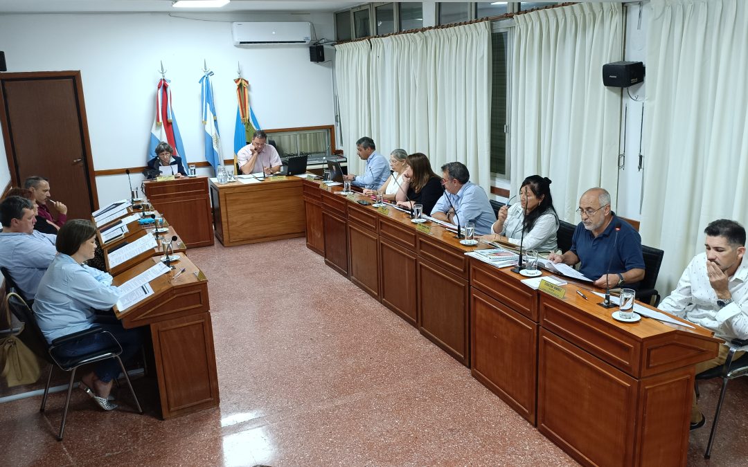 LOS TEMAS TRATADOS EN LAS SESIONES DEL CONCEJO DELIBERANTE